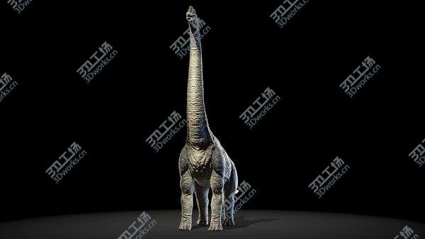 images/goods_img/20210312/3D Brachiosaurus/5.jpg